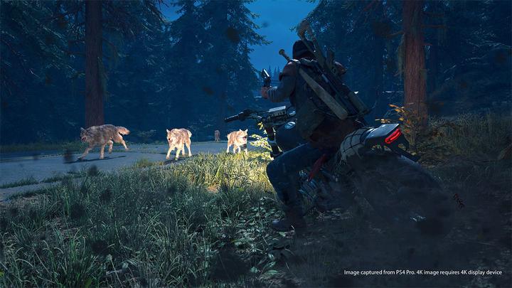 Produktbild Sony Days Gone (PS4, Multilingual)