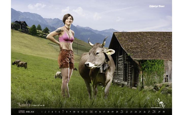 Actual product image Swiss farmers' calendar (56 x 40 cm, No binding, French, German)