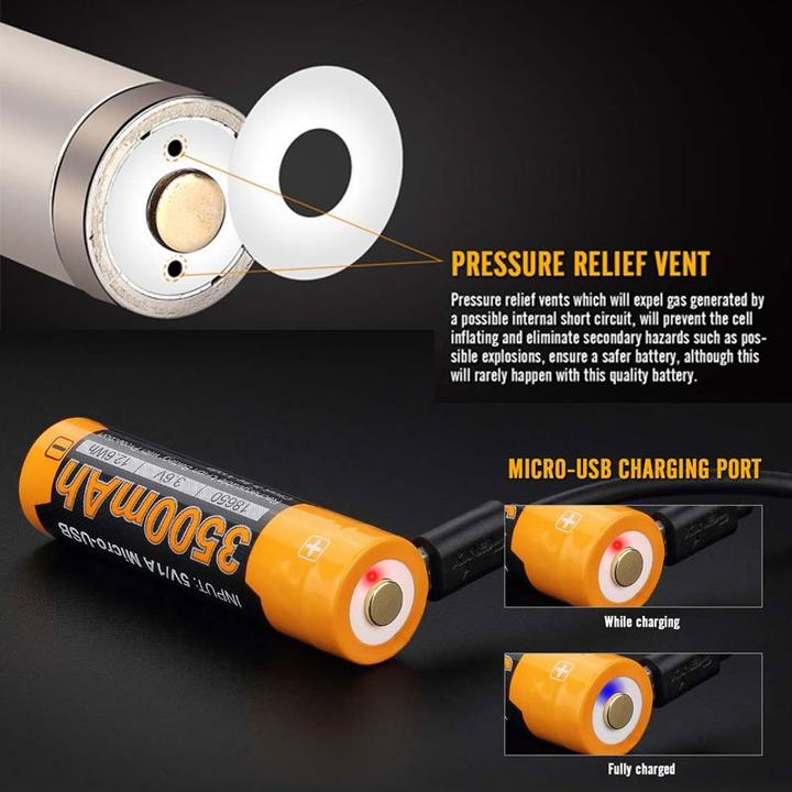 Image du produit Fenix Batterie 18650 protégée avec fonction de charge USB, avec AccuSafe