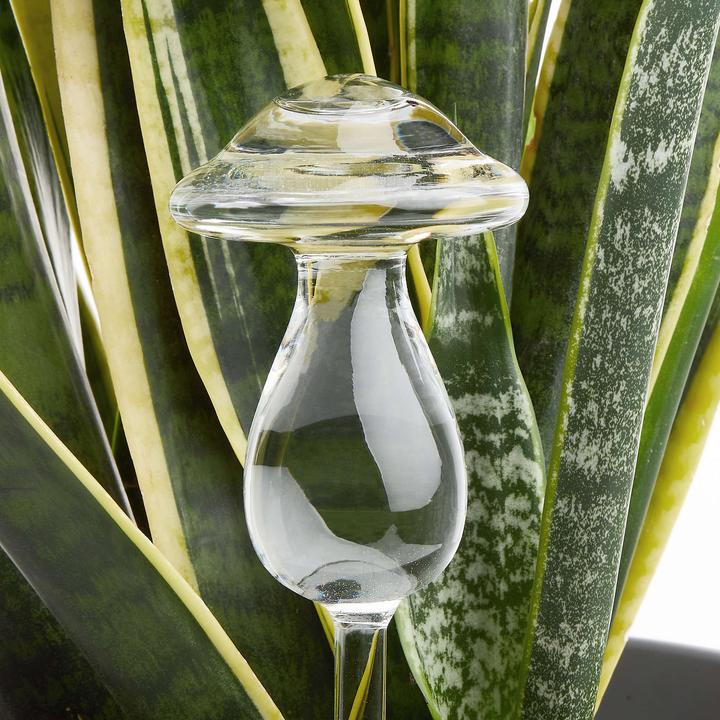 Image du produit home24 Raindrops