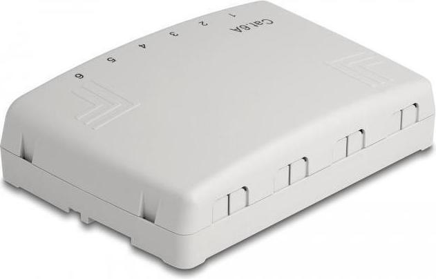 Productafbeelding Delock Mini Desktop Patchpaneel 6-poorts Cat.6A grijs
