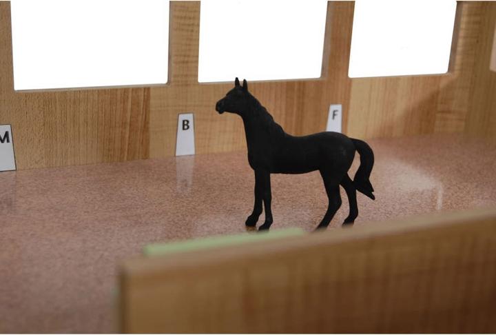Actual product image Sombo Horse stable pink wood