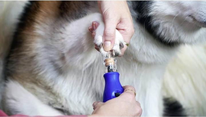 Immagine prodotto Dremel Cura degli artigli degli animali (Cane)
