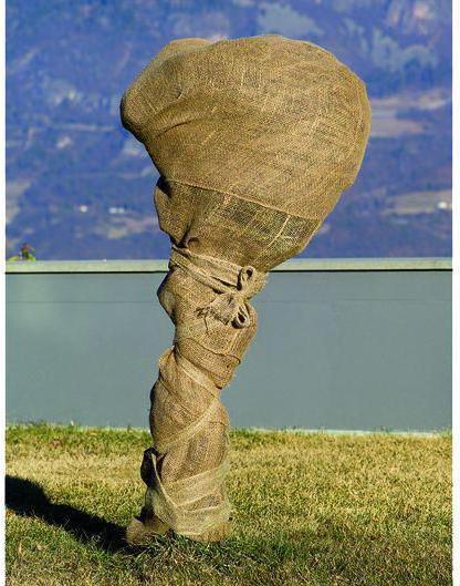 Pflanzen Winterschutz + Gartenvlies