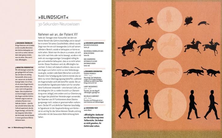 Produktbild Das Gehirn in 30 Sekunden (Deutsch, Seth Anil, 2015)