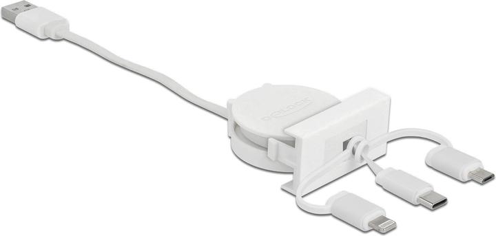 Delock 3in1 (0.50 m, USB 2.0)