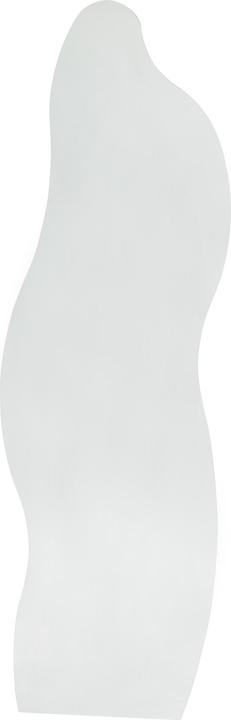 Produktbild SalesFever Spiegel (50 x 160 cm)