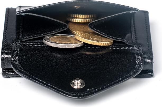 Actual product image Exentri Wallet