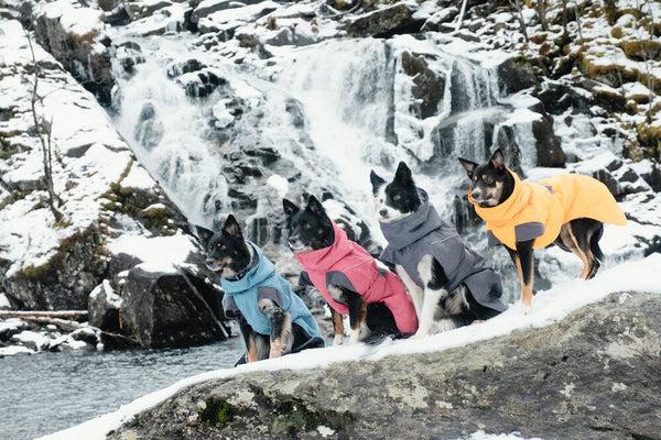 Immagine prodotto Hurtta Spedizione (40, Salopette per cani)
