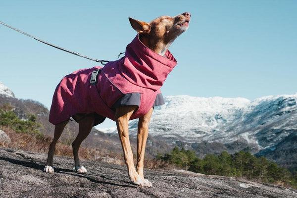 Immagine prodotto Hurtta Spedizione (40, Salopette per cani)