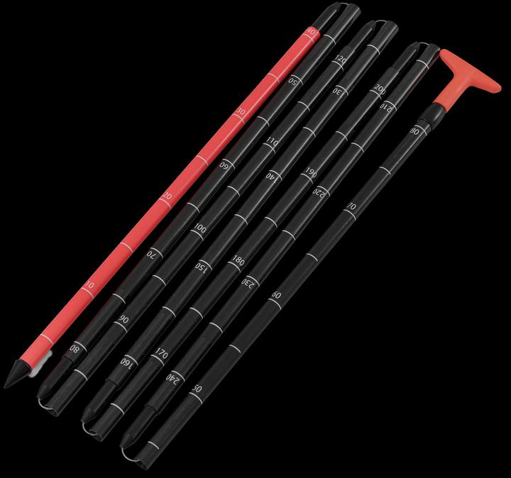 Salewa Sella Carbon Lawinensonde