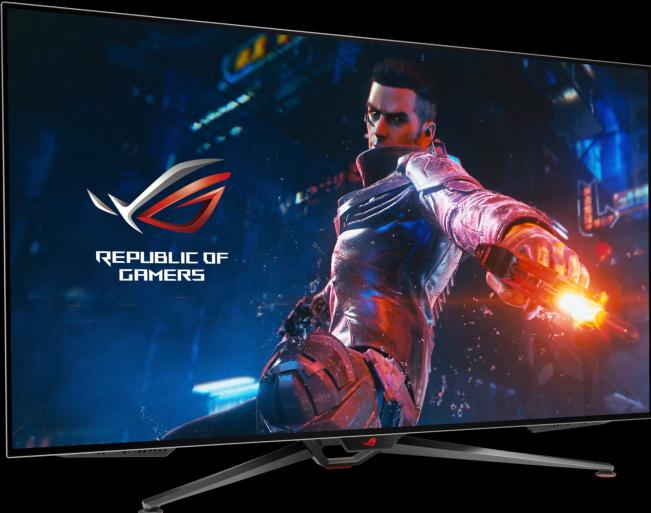 Actual product image ASUS ROG PG48UQ (3840 x 2160 Pixels, 47.50")