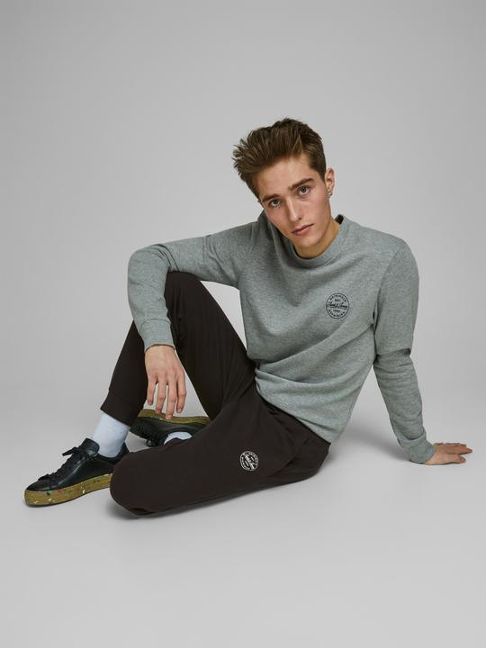 Immagine prodotto Jack & Jones Gordon Sweathose (S)