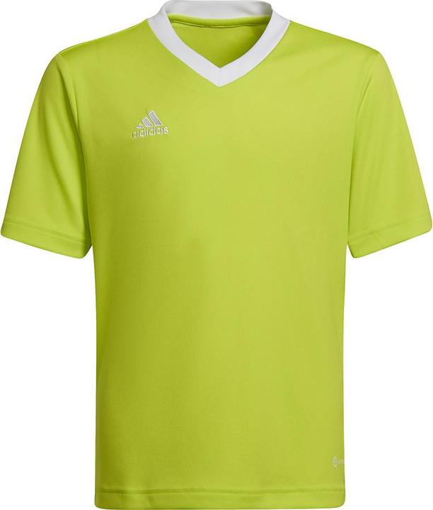 adidas Entrada 22 Fussballtrikot Kinder