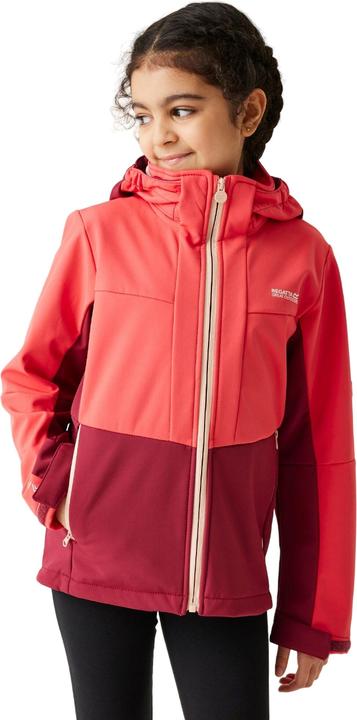 Produktbild Regatta Haydenbury II Softshelljacke (104)