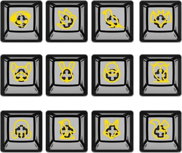 Image du produit Akko ASA Clear Printed Keycap