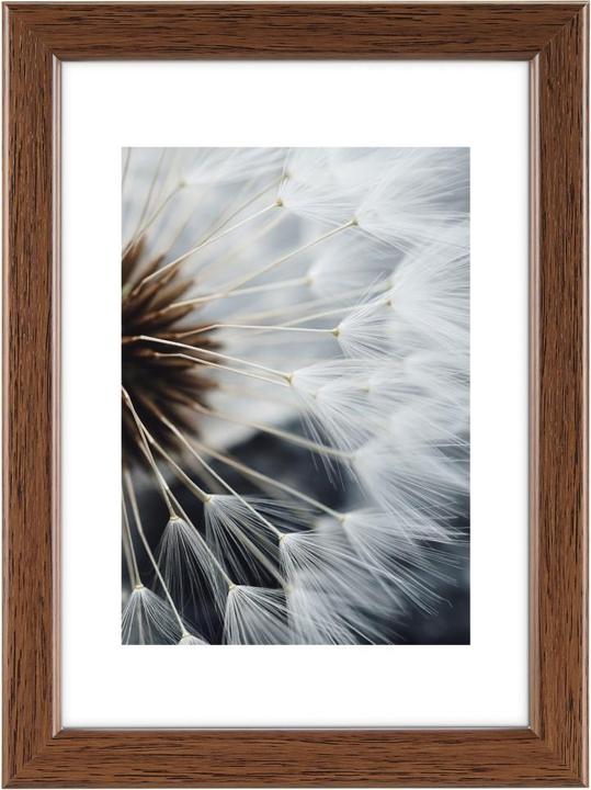 Actual product image Hama breeze (10 x 15 cm)