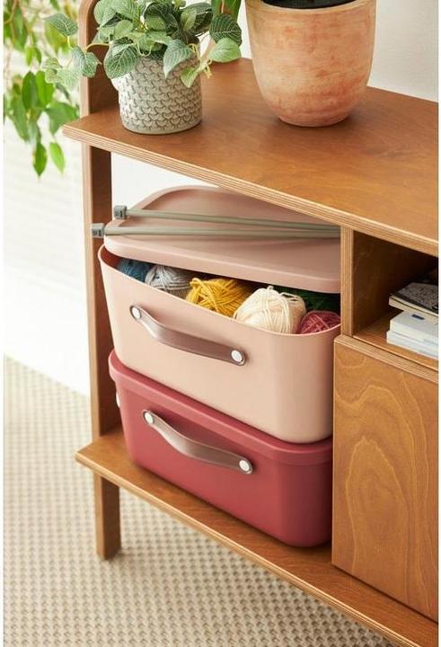 Produktbild Rotho Maloja (39.5 x 26.5 x 18 cm, 12 l)
