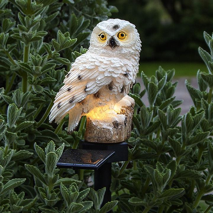 Image du produit Star Trading Owl (IP44)