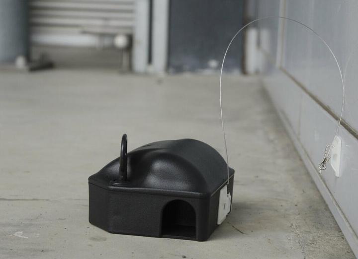 Produktbild Knock Off Klebe-Anker, doppelseitig für Köderbox, 25cm + Haken