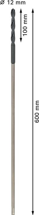 Immagine prodotto Bosch Professional Zubehör Punta da installazione PRO Wood HSS, 12 x 100 x 600 mm (12 mm)