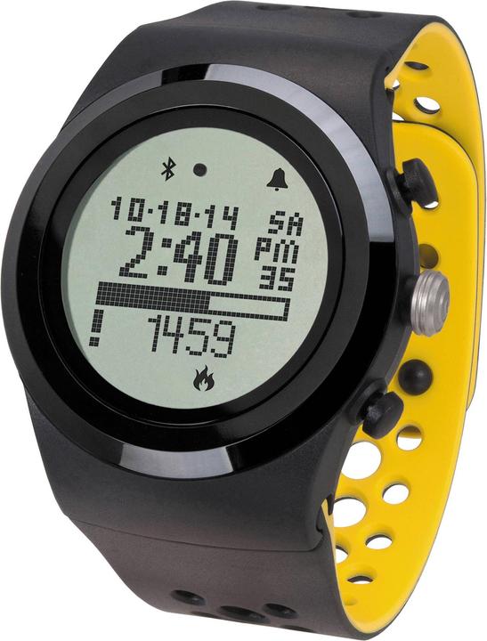 Actual product image LifeTrak Brite R450
