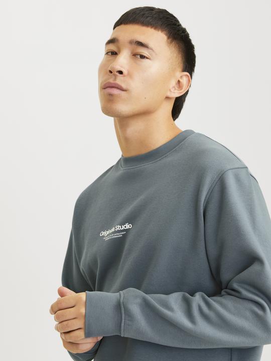 Actual product image Jack & Jones Printed sweatshirt Sweatshirt (S)