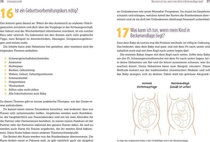 Immagine prodotto 100 Fragen an deine Hebamme (Tedesco, Julia Brömsen, Jasmin Czech, 2023)