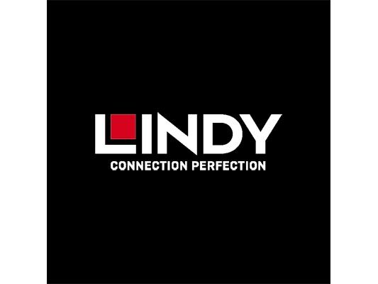 Actual product image Lindy HDMI to USB Type C Converter (HDMI, USB-C, 1.91 cm)