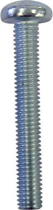 Toolcraft Vis à tête bombée (100 Vis par pièce)
