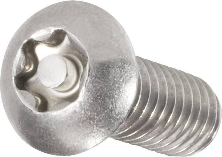 Produktbild Toolcraft Sicherheitsschrauben mit Penhead (10 Schrauben pro Stück)