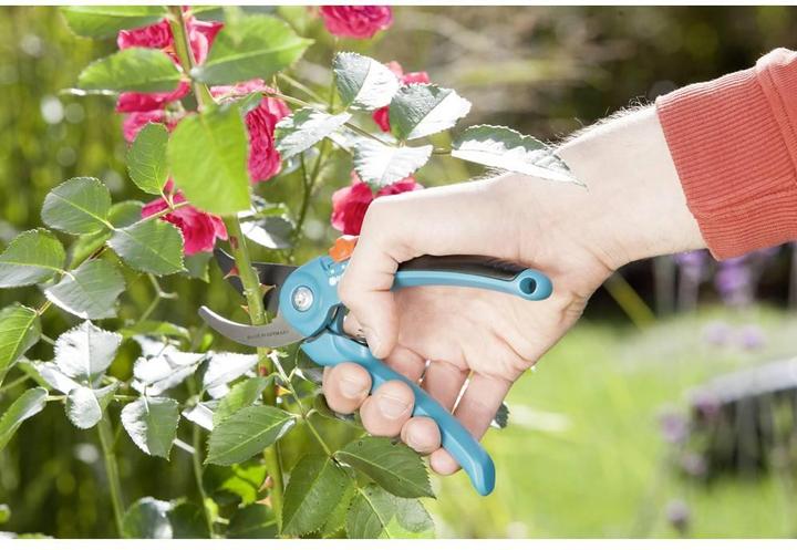 Image du produit Gardena Ciseaux à raisin classiques