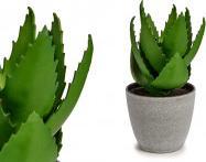 Actual product image Ibergarden large aloe vera plant pot