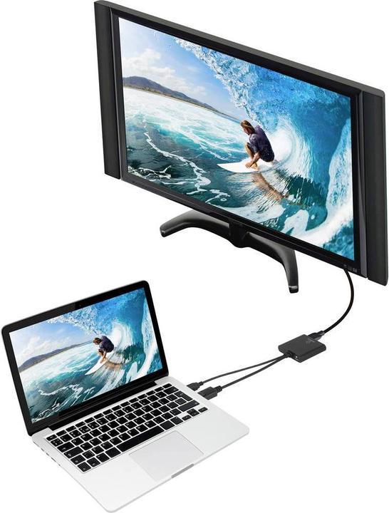Actual product image Renkforce DisplayPort zu (DP, 20 cm)