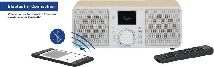 Actual product image Renkforce RF-IRDAB-RETRO1 (DAB+, FM, Bluetooth, Wi-Fi)