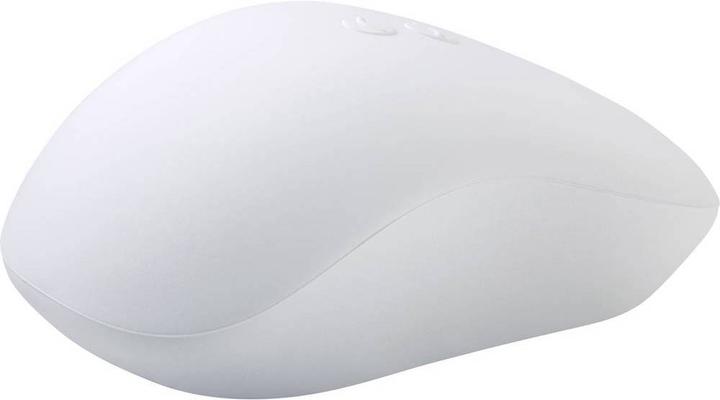 Image du produit Renkforce Souris sans fil résistante aux éclaboussures IP53 pour l'industrie, les laboratoires et la médecine (Sans fil)