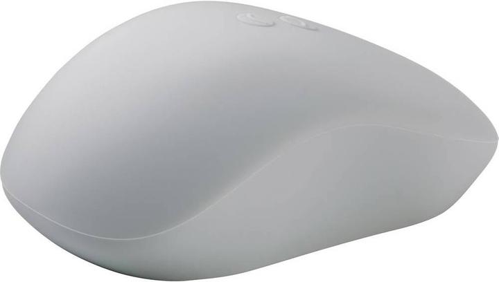 Immagine prodotto Renkforce Mouse wireless a prova di schizzi IP53 per l'industria, il laboratorio e la medicina (Senza fili)