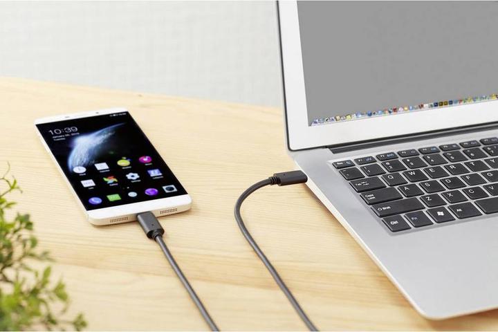 Image du produit Renkforce Câble de connexion USB 3.2 Gen 1x2 USB-C/USB-C 1,5 m (1.50 m, USB 3.1, 100 W)