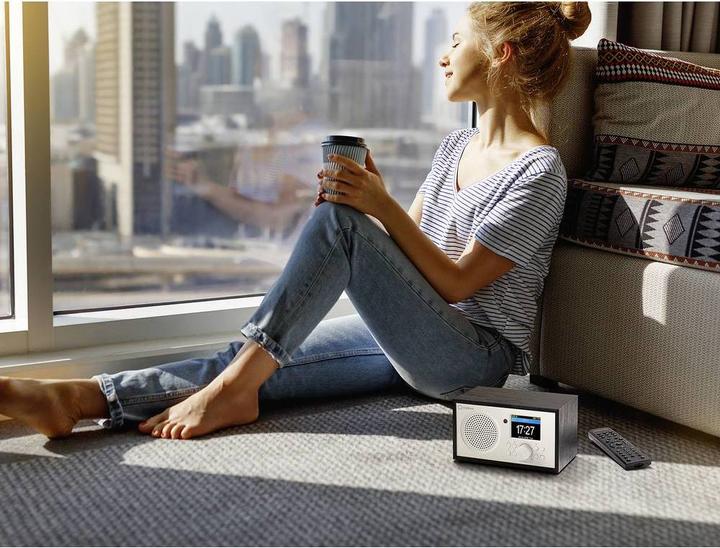 Produktbild Renkforce Internet Radio Bluetooth, AUX, WLAN, DLNA-fähig, tragbar mit Akku (Internetradio, WLAN, Bluetooth)