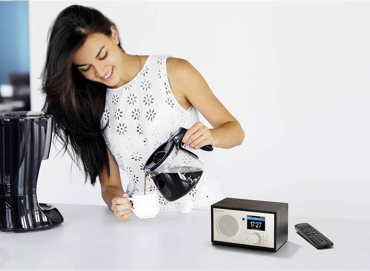Produktbild Renkforce Internet Radio Bluetooth, AUX, WLAN, DLNA-fähig, tragbar mit Akku (Internetradio, WLAN, Bluetooth)