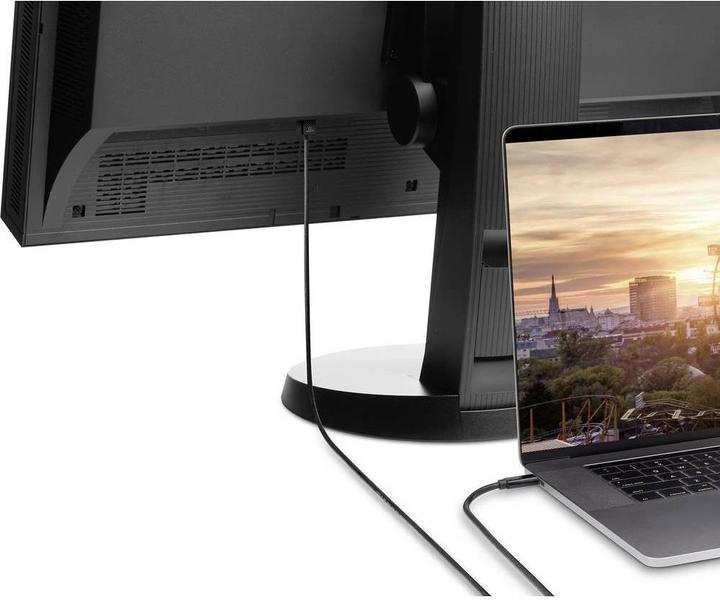 Produktbild Renkforce USB-C 3.1 Stecker auf HDMI Stecker 0.5 m (0.50 m, HDMI)