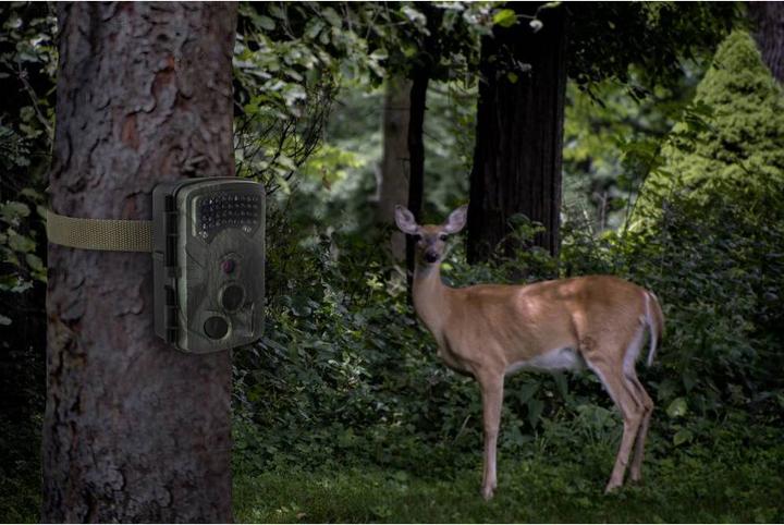 Produktbild Renkforce Wildkamera 13 MP 2.7K