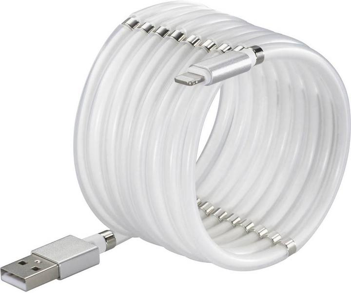 Renkforce Cavo di connessione USB 2 (2 m, USB 2.0, 12 W)