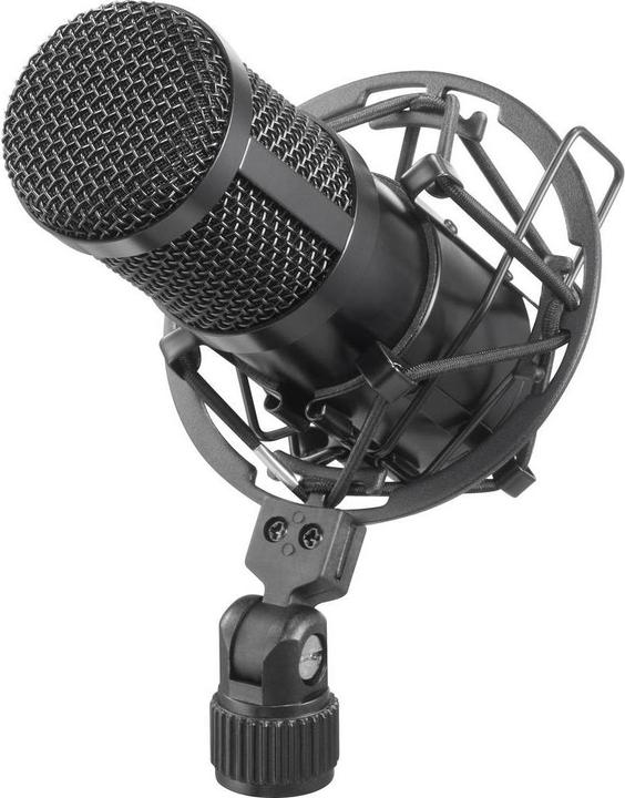 Renkforce USB microphone with hard case