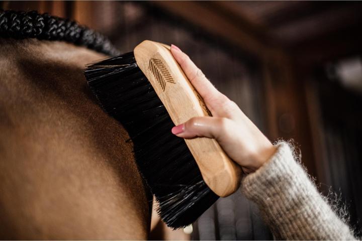 Actual product image Grooming Deluxe Body brush middle hard Body Brush middle hard