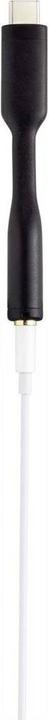 Actual product image Renkforce USB-C to 3.5 mm audio adapter cable (0.08 m, USB)
