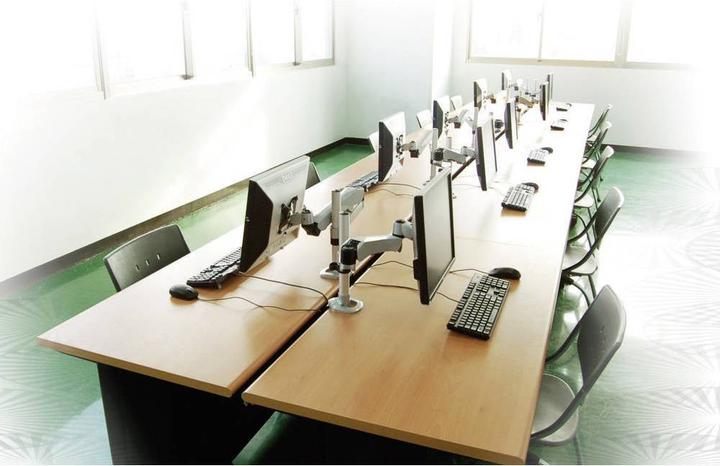 Actual product image SpeaKa Professional Flex 2fach Monitorhalter, Tisc (Table, 27")
