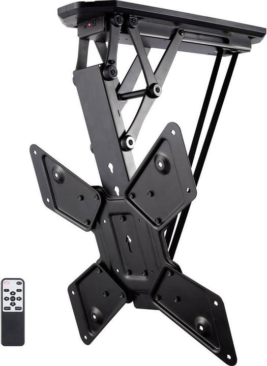 SpeaKa Professional Sp-5756712 (Ceiling, 55", 30 kg)