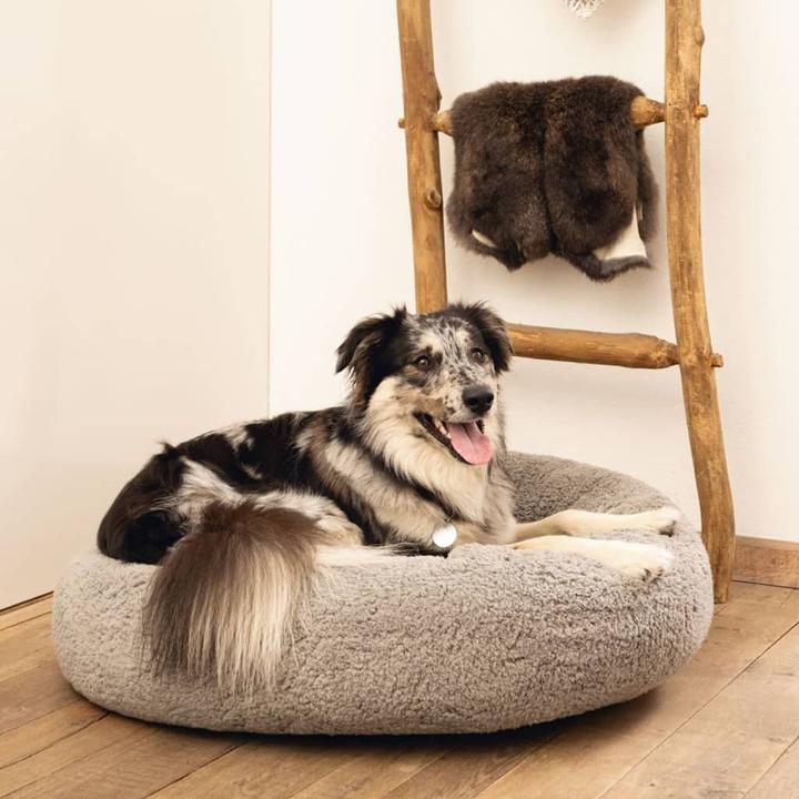 Immagine prodotto Beeztees Jaxx (Cane)