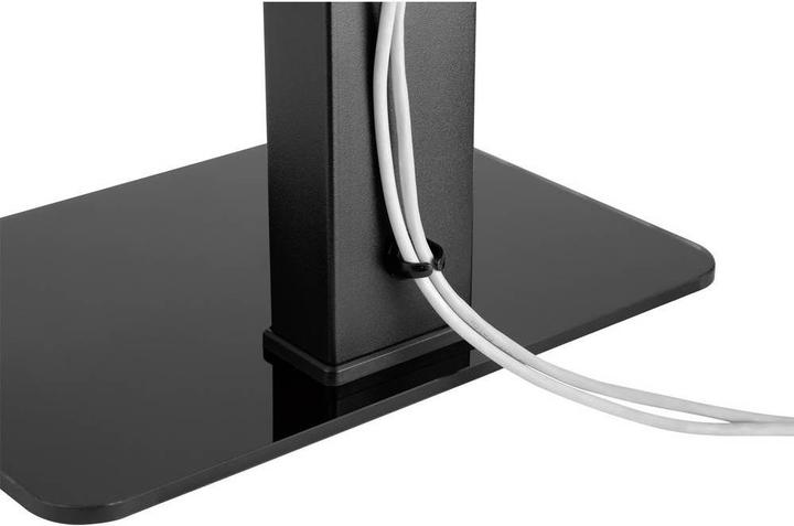 Actual product image SpeaKa Professional SP-TVS-150 (Universal, 55", 40 kg)